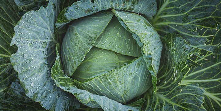 Mehr grünes Gemüse essen: 8 Tipps und 20 Rezepte, mit denen du es schaffst