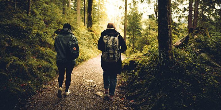 Zwei Frauen spazieren auf einem Waldweg