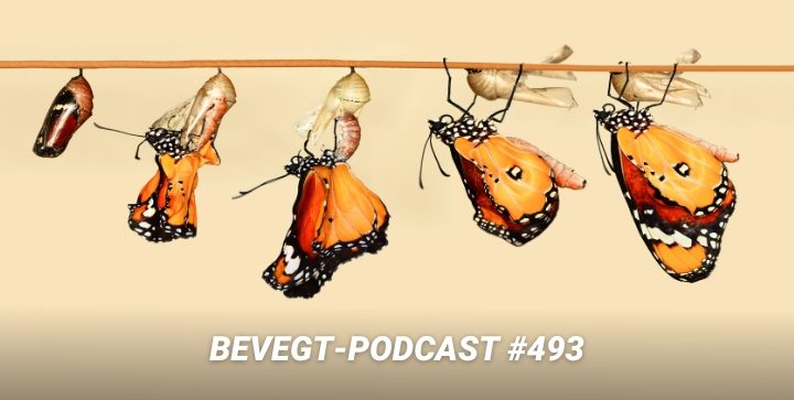 Ein Schmetterling entpuppt sich