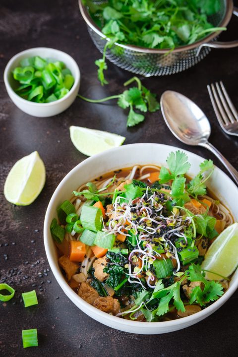 Eine bunte Asiasuppe mit Ramennudeln und Sojafleisch